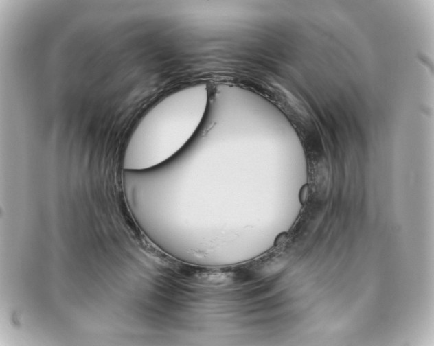 X0000096400553200801241006