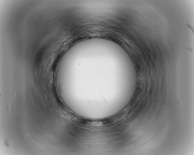 X0000096400554200801241006