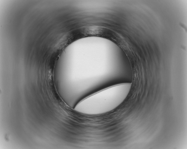 X0000096400555200801241006