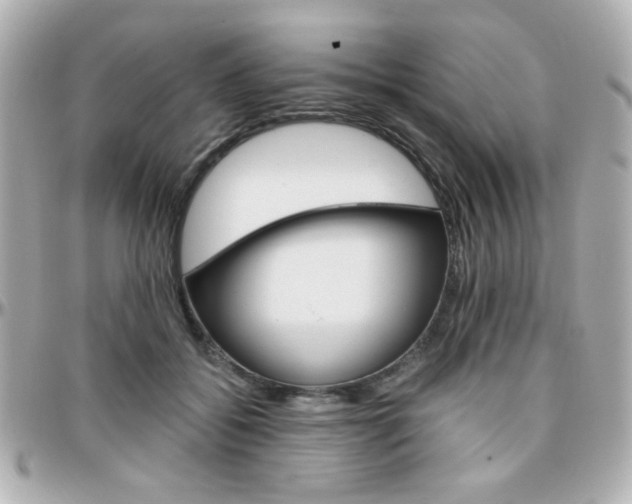 X0000096400556200801241006