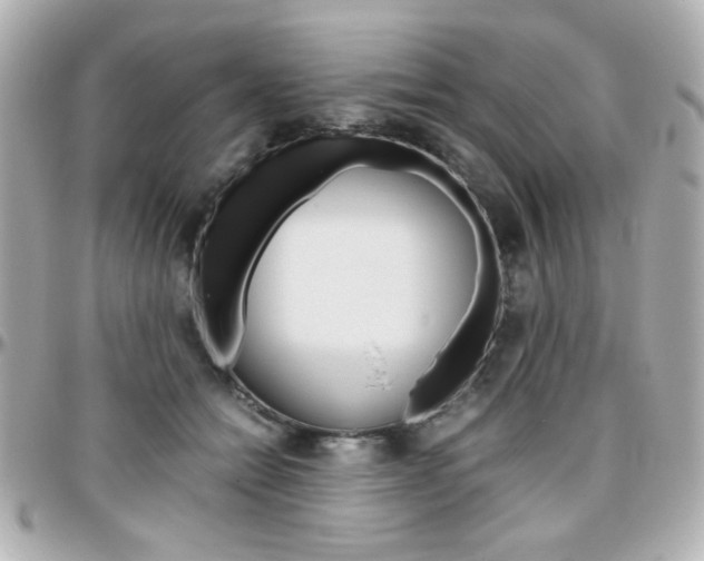 X0000096400558200801241006