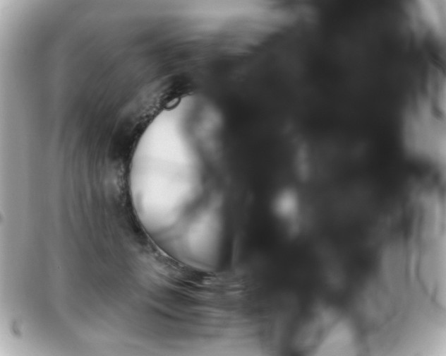 X0000096400559200801241006