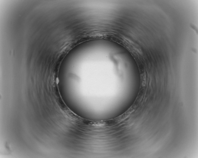 X0000096400560200801241006