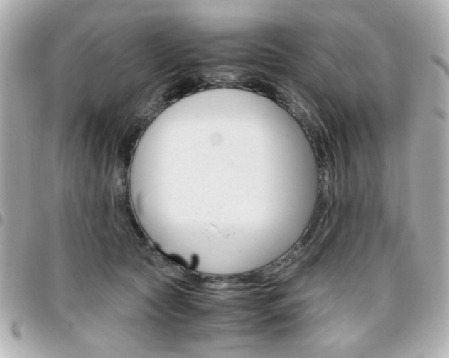 X0000096400561200801241006