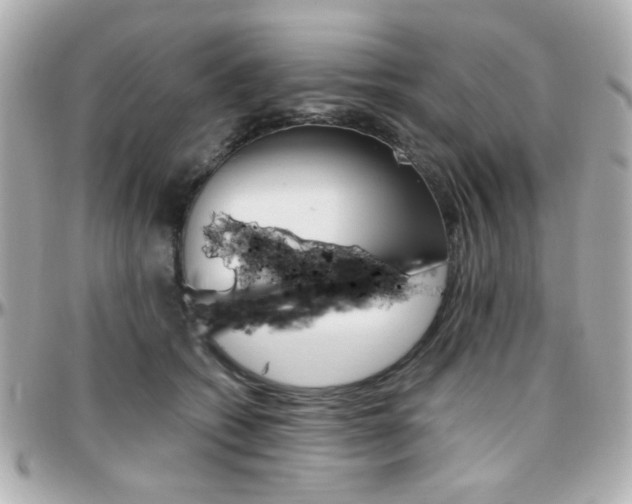 X0000096400562200801241006
