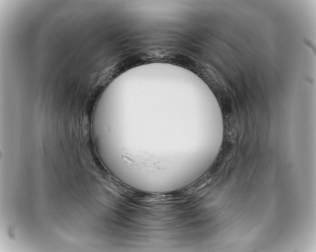 X0000096400563200801241006