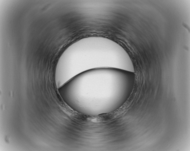 X0000096400564200801241006
