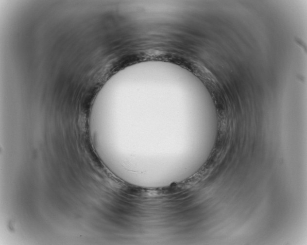 X0000096400565200801241006