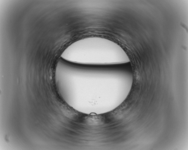 X0000096400567200801241006