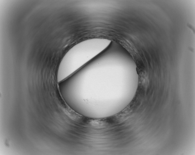 X0000096400568200801241006
