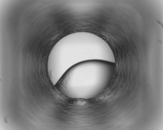 X0000096400570200801241006