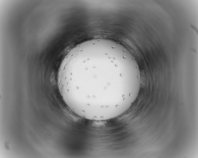 X0000096400573200801241006