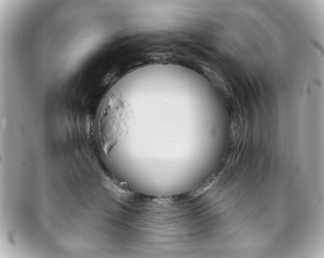 X0000096400574200801241006