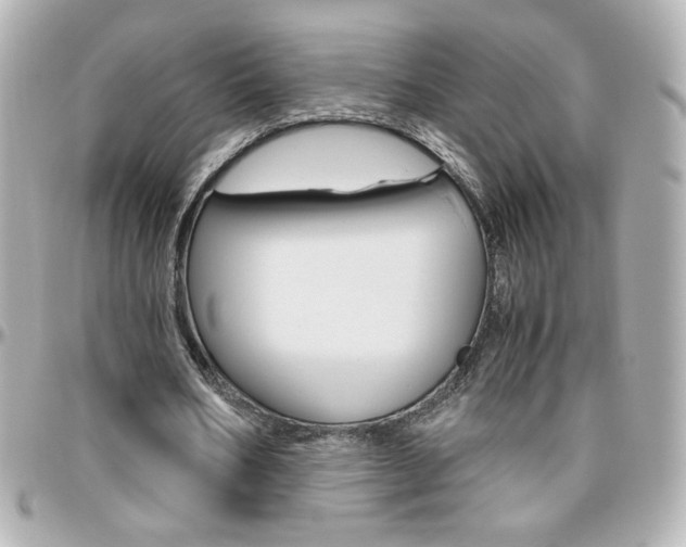 X0000096400578200801241006