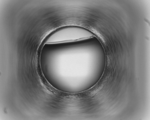 X0000096400580200801241005