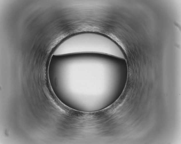 X0000096400581200801241005
