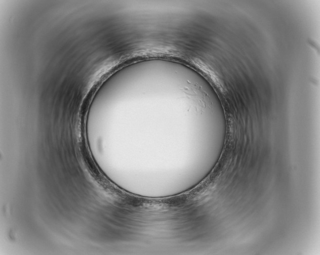 X0000096400582200801241005