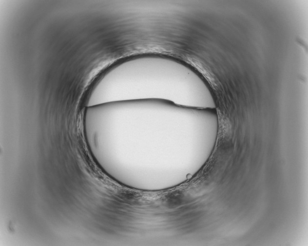 X0000096400583200801241005