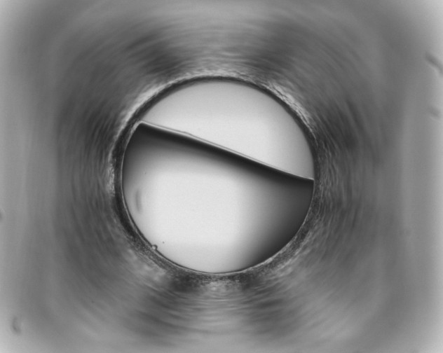 X0000096400584200801241005