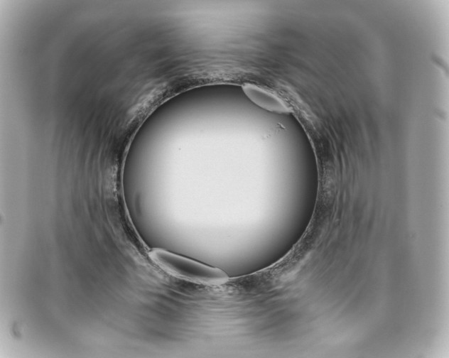 X0000096400585200801241005