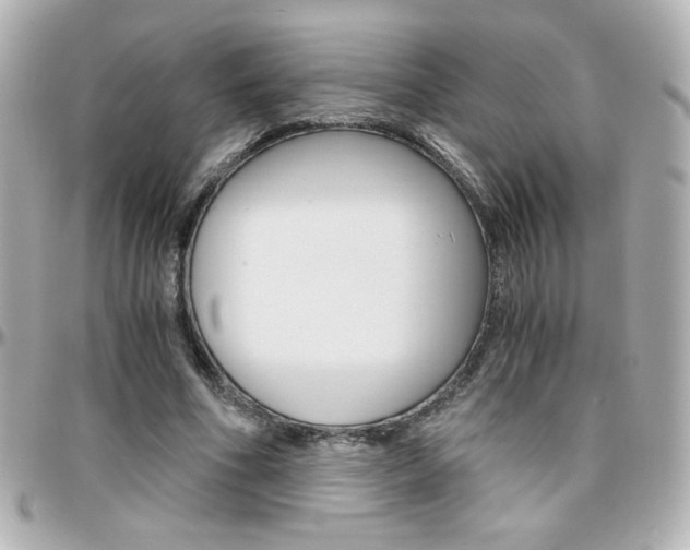 X0000096400586200801241005