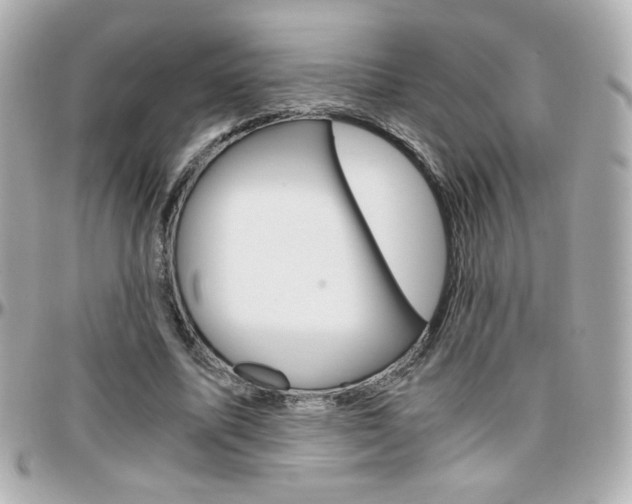 X0000096400587200801241005