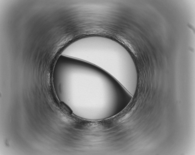X0000096400589200801241005