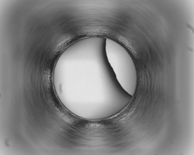 X0000096400590200801241005