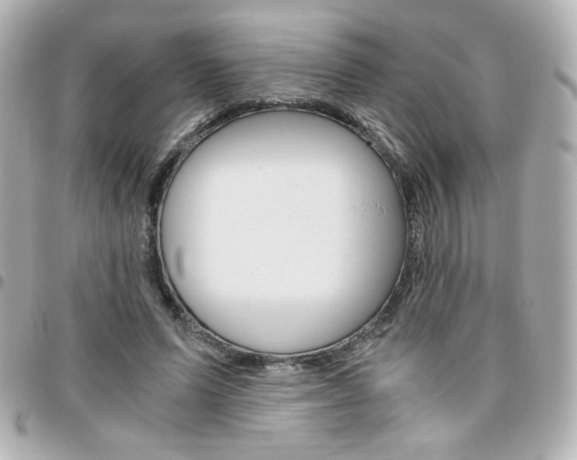 X0000096400591200801241005