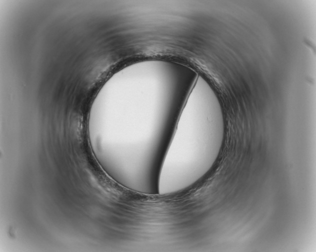 X0000096400592200801241005