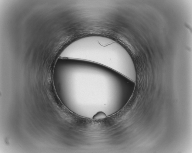 X0000096400593200801241005