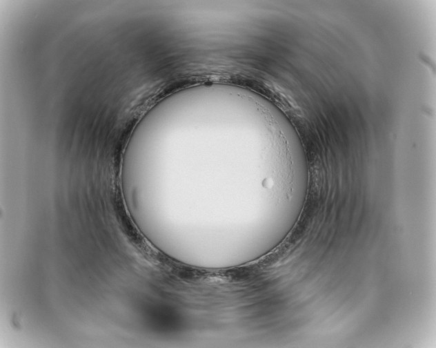X0000096400594200801241005