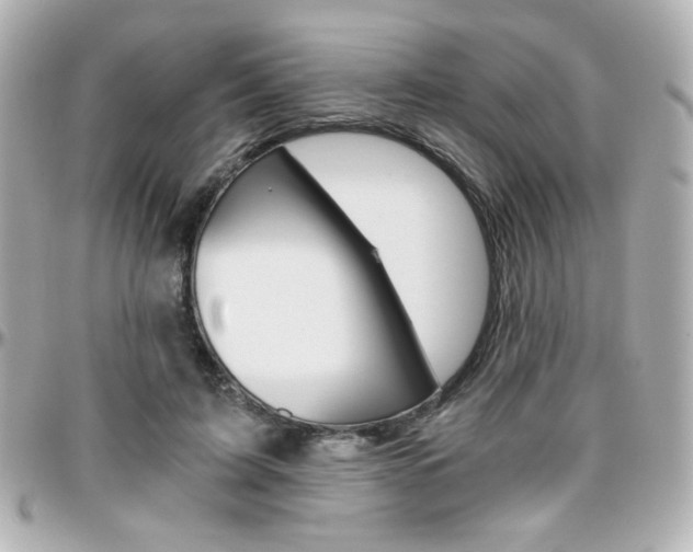 X0000096400595200801241005