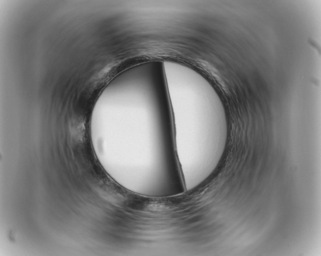 X0000096400596200801241005