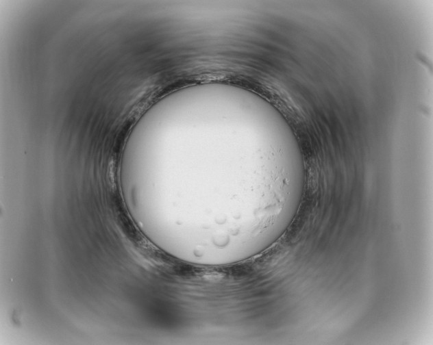 X0000096400598200801241005