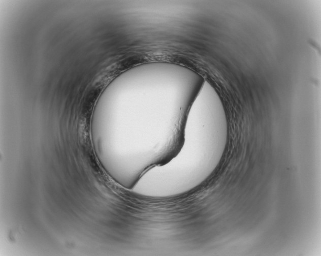 X0000096400599200801241005