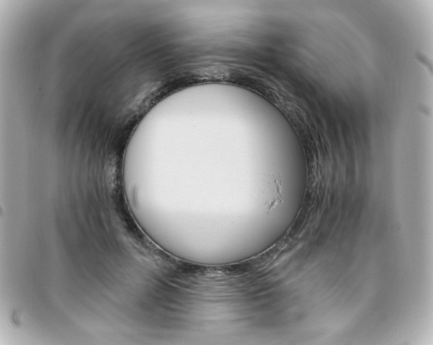 X0000096400600200801241005