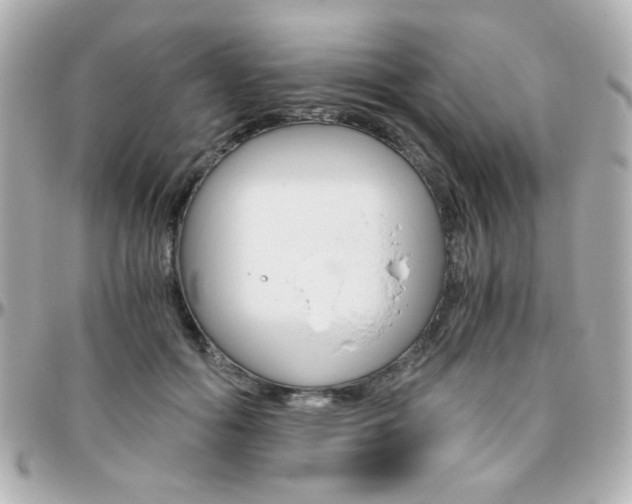 X0000096400602200801241005