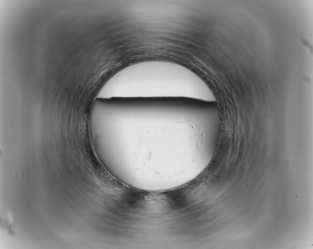 X0000096400603200801241005