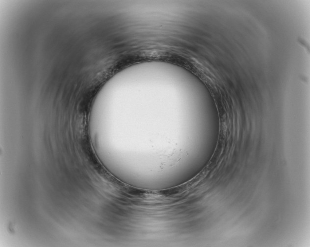 X0000096400605200801241005