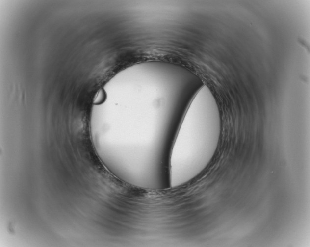 X0000096400608200801241005