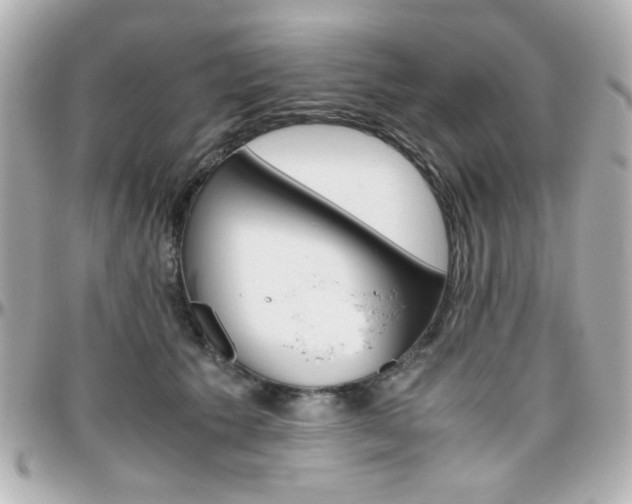 X0000096400609200801241005