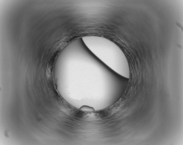 X0000096400611200801241005