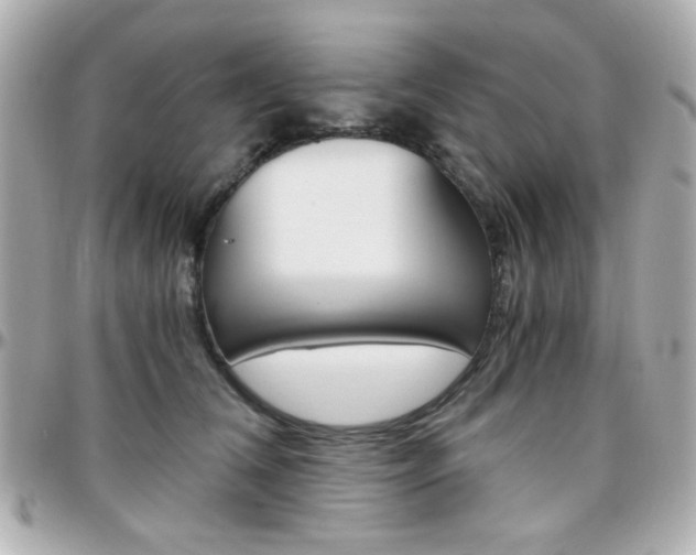 X0000096400612200801241005