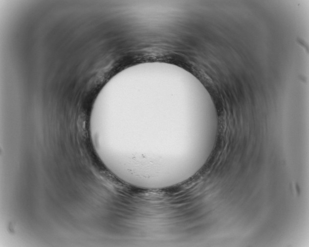 X0000096400615200801241005