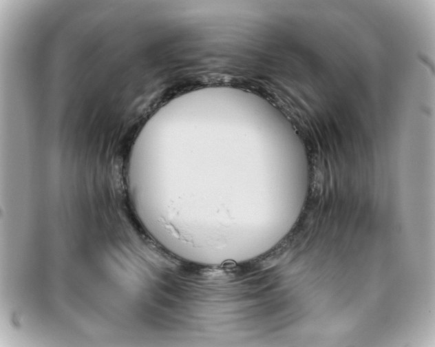 X0000096400616200801241005