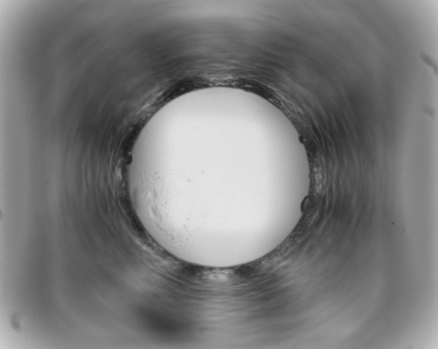 X0000096400618200801241005
