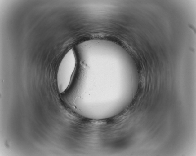 X0000096400619200801241005