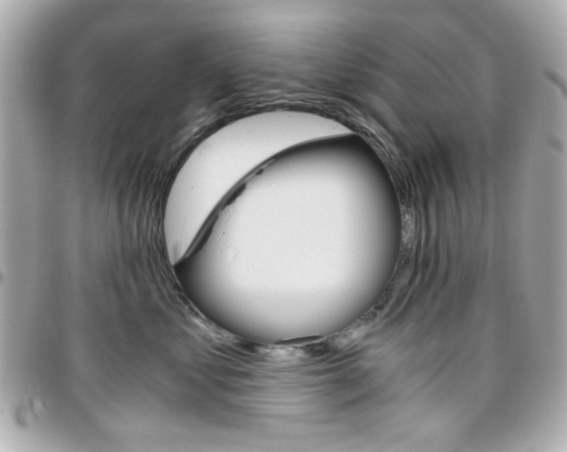 X0000096400621200801241005