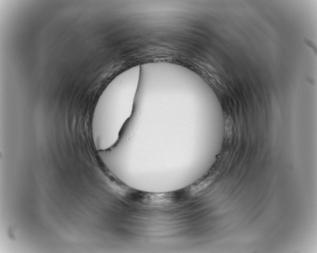 X0000096400622200801241005